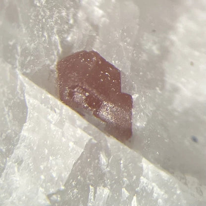 Spinel Crystal Micro Limecrest Qry Sussex Co NEW JERSEY USA