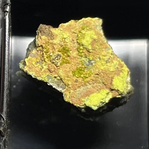Volborthite Crystal Micro Monument Valley Navajo Co ARIZONA USA