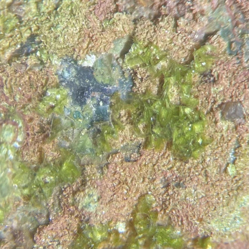 Volborthite Crystal Micro Monument Valley Navajo Co ARIZONA USA